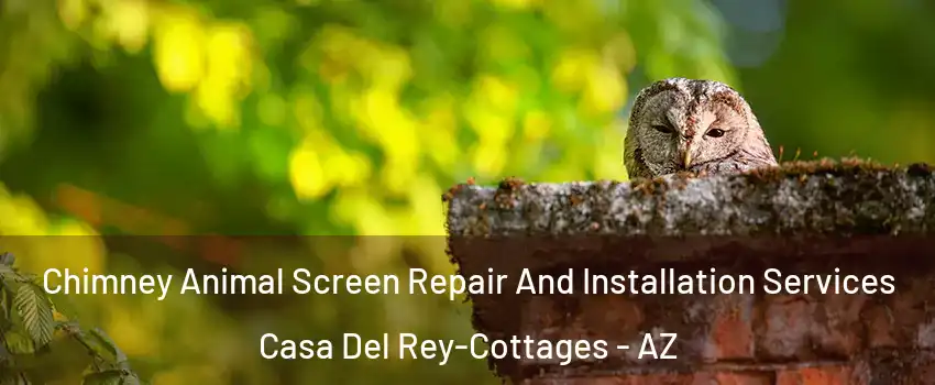 Chimney Animal Screen Repair And Installation Services Casa Del Rey-Cottages - AZ