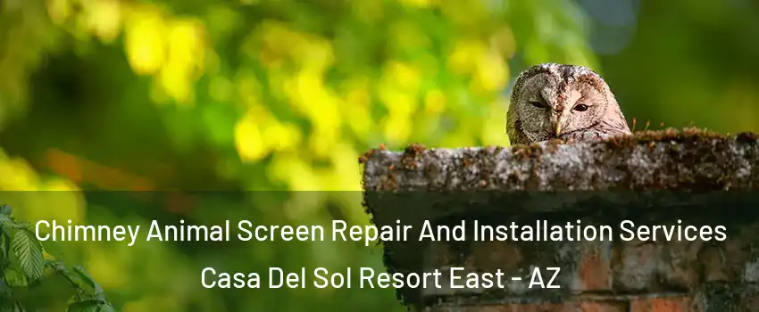 Chimney Animal Screen Repair And Installation Services Casa Del Sol Resort East - AZ