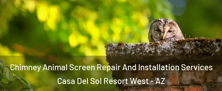 Chimney Animal Screen Repair And Installation Services Casa Del Sol Resort West - AZ