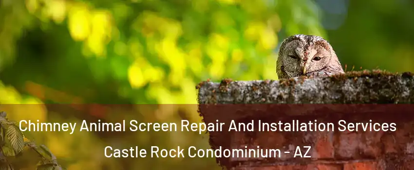 Chimney Animal Screen Repair And Installation Services Castle Rock Condominium - AZ