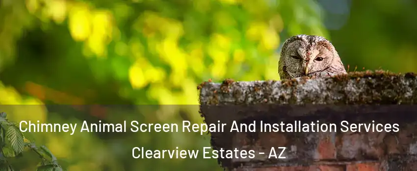 Chimney Animal Screen Repair And Installation Services Clearview Estates - AZ
