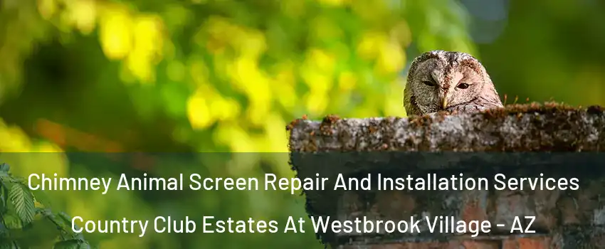 Chimney Animal Screen Repair And Installation Services Country Club Estates At Westbrook Village - AZ