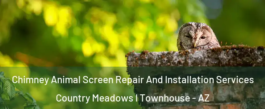 Chimney Animal Screen Repair And Installation Services Country Meadows I Townhouse - AZ