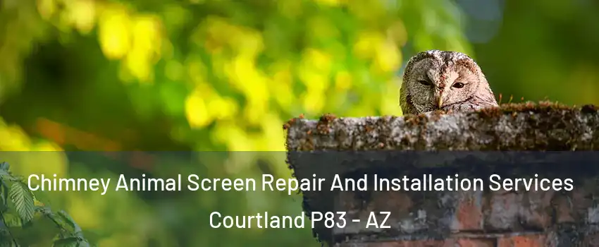 Chimney Animal Screen Repair And Installation Services Courtland P83 - AZ