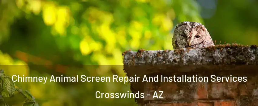 Chimney Animal Screen Repair And Installation Services Crosswinds - AZ