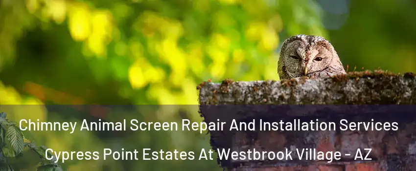 Chimney Animal Screen Repair And Installation Services Cypress Point Estates At Westbrook Village - AZ
