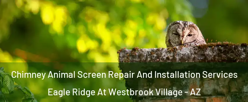 Chimney Animal Screen Repair And Installation Services Eagle Ridge At Westbrook Village - AZ