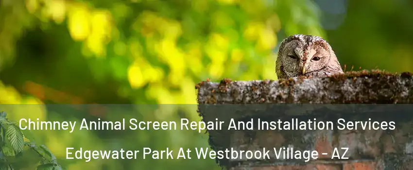 Chimney Animal Screen Repair And Installation Services Edgewater Park At Westbrook Village - AZ