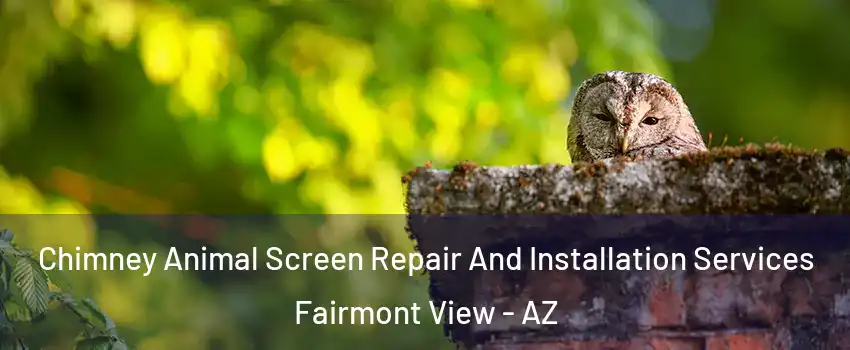 Chimney Animal Screen Repair And Installation Services Fairmont View - AZ