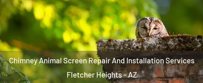 Chimney Animal Screen Repair And Installation Services Fletcher Heights - AZ