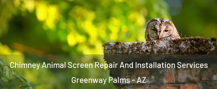 Chimney Animal Screen Repair And Installation Services Greenway Palms - AZ