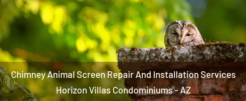 Chimney Animal Screen Repair And Installation Services Horizon Villas Condominiums - AZ