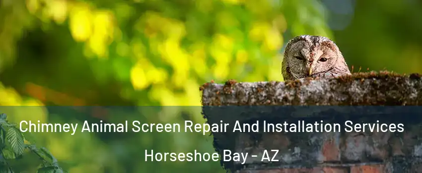 Chimney Animal Screen Repair And Installation Services Horseshoe Bay - AZ