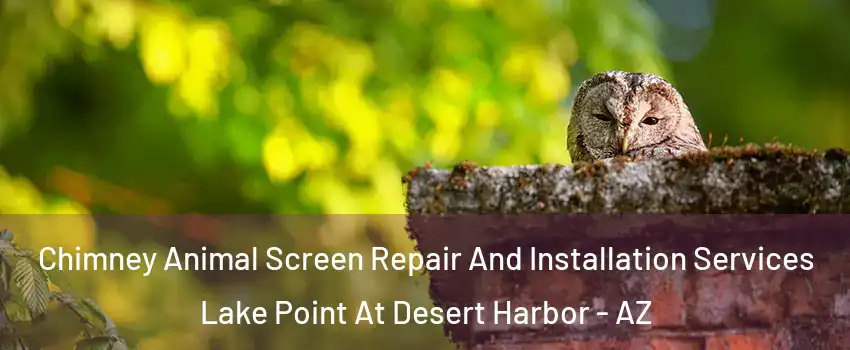 Chimney Animal Screen Repair And Installation Services Lake Point At Desert Harbor - AZ