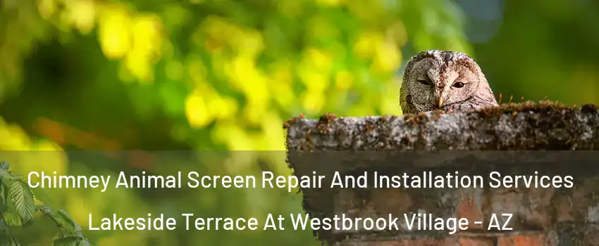 Chimney Animal Screen Repair And Installation Services Lakeside Terrace At Westbrook Village - AZ