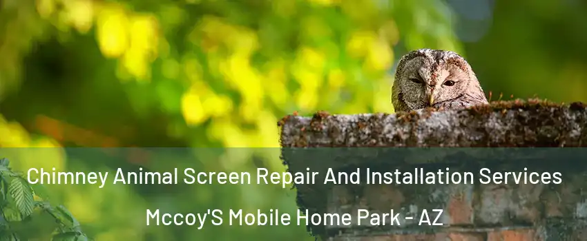 Chimney Animal Screen Repair And Installation Services Mccoy'S Mobile Home Park - AZ