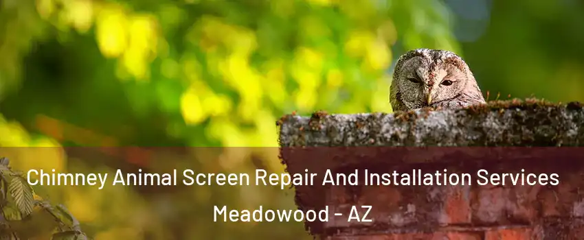 Chimney Animal Screen Repair And Installation Services Meadowood - AZ