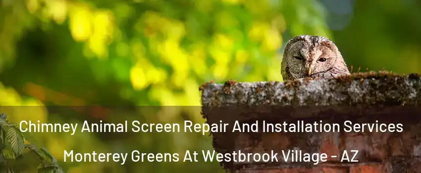 Chimney Animal Screen Repair And Installation Services Monterey Greens At Westbrook Village - AZ