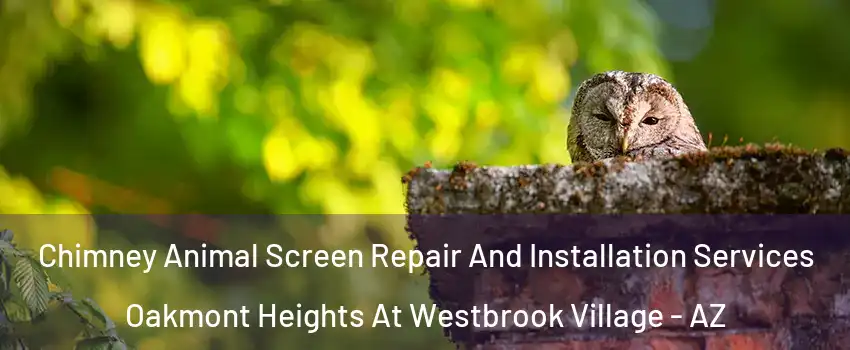 Chimney Animal Screen Repair And Installation Services Oakmont Heights At Westbrook Village - AZ