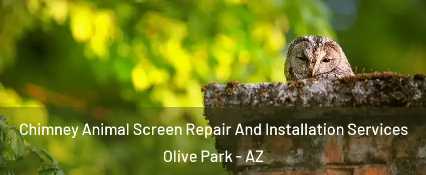 Chimney Animal Screen Repair And Installation Services Olive Park - AZ