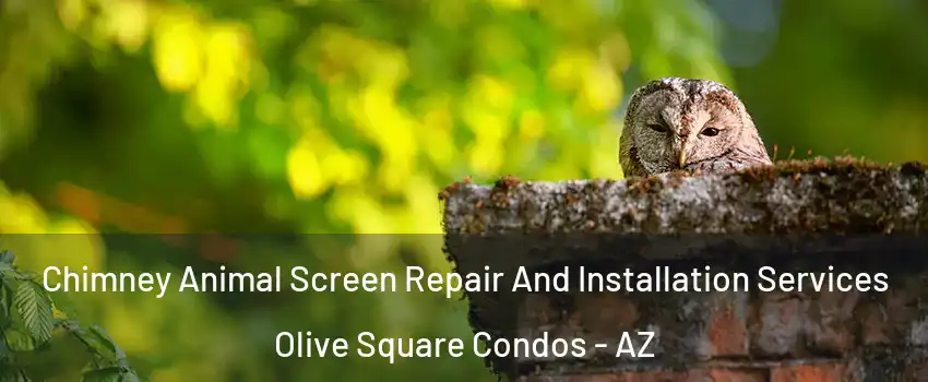 Chimney Animal Screen Repair And Installation Services Olive Square Condos - AZ