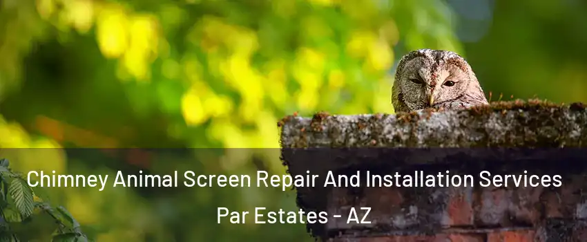 Chimney Animal Screen Repair And Installation Services Par Estates - AZ