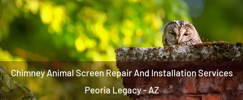 Chimney Animal Screen Repair And Installation Services Peoria Legacy - AZ