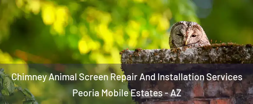 Chimney Animal Screen Repair And Installation Services Peoria Mobile Estates - AZ