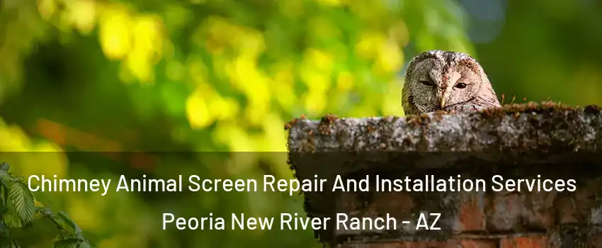 Chimney Animal Screen Repair And Installation Services Peoria New River Ranch - AZ
