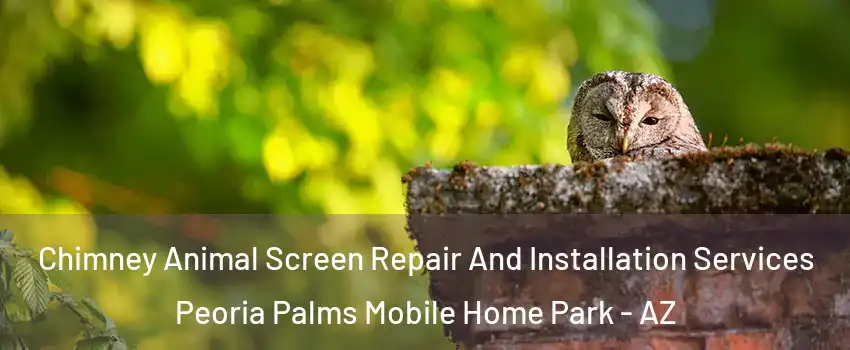 Chimney Animal Screen Repair And Installation Services Peoria Palms Mobile Home Park - AZ