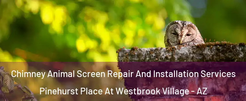 Chimney Animal Screen Repair And Installation Services Pinehurst Place At Westbrook Village - AZ