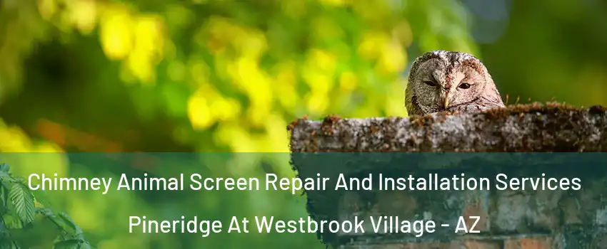 Chimney Animal Screen Repair And Installation Services Pineridge At Westbrook Village - AZ