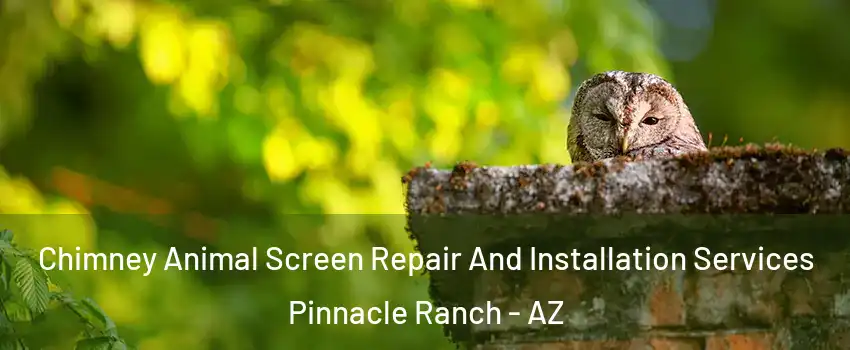 Chimney Animal Screen Repair And Installation Services Pinnacle Ranch - AZ