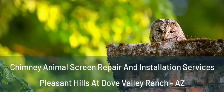 Chimney Animal Screen Repair And Installation Services Pleasant Hills At Dove Valley Ranch - AZ
