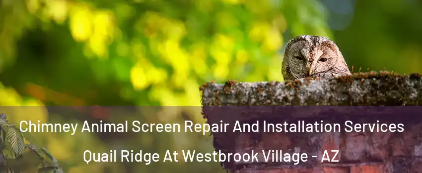 Chimney Animal Screen Repair And Installation Services Quail Ridge At Westbrook Village - AZ