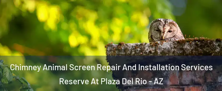 Chimney Animal Screen Repair And Installation Services Reserve At Plaza Del Rio - AZ