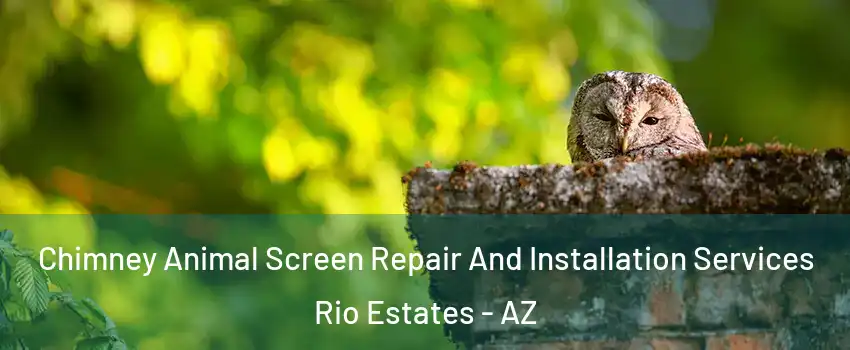 Chimney Animal Screen Repair And Installation Services Rio Estates - AZ
