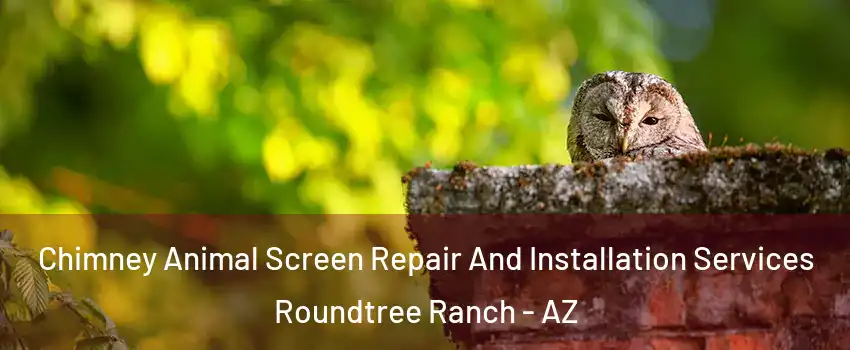 Chimney Animal Screen Repair And Installation Services Roundtree Ranch - AZ