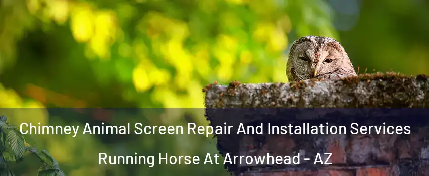 Chimney Animal Screen Repair And Installation Services Running Horse At Arrowhead - AZ