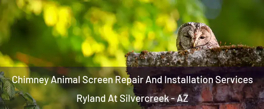 Chimney Animal Screen Repair And Installation Services Ryland At Silvercreek - AZ