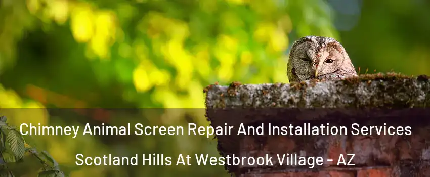 Chimney Animal Screen Repair And Installation Services Scotland Hills At Westbrook Village - AZ