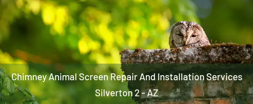 Chimney Animal Screen Repair And Installation Services Silverton 2 - AZ