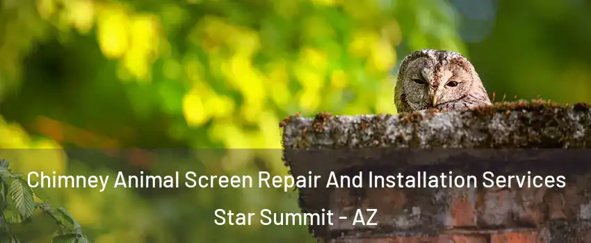 Chimney Animal Screen Repair And Installation Services Star Summit - AZ