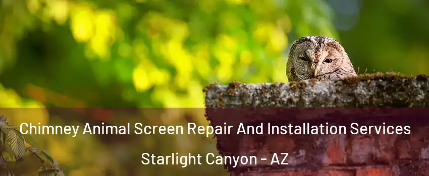 Chimney Animal Screen Repair And Installation Services Starlight Canyon - AZ