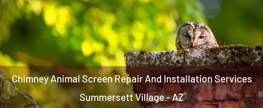 Chimney Animal Screen Repair And Installation Services Summersett Village - AZ