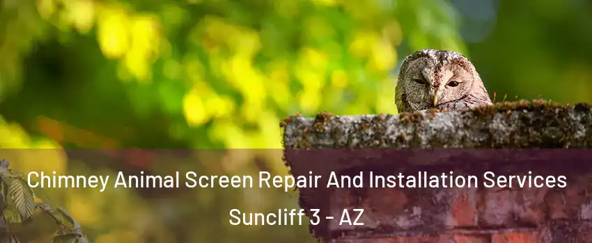 Chimney Animal Screen Repair And Installation Services Suncliff 3 - AZ