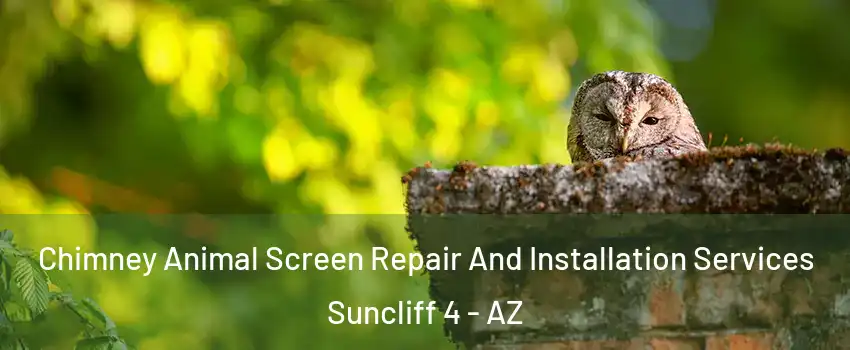 Chimney Animal Screen Repair And Installation Services Suncliff 4 - AZ