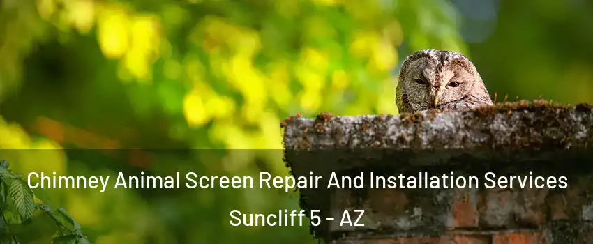 Chimney Animal Screen Repair And Installation Services Suncliff 5 - AZ