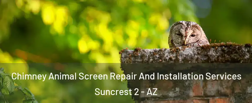 Chimney Animal Screen Repair And Installation Services Suncrest 2 - AZ