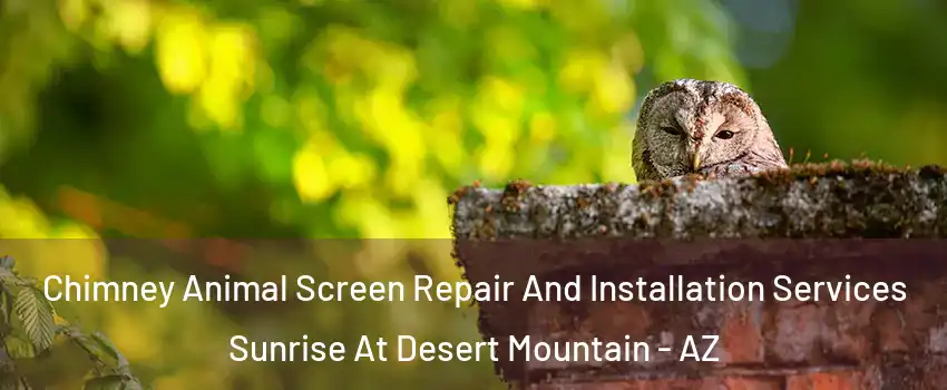 Chimney Animal Screen Repair And Installation Services Sunrise At Desert Mountain - AZ